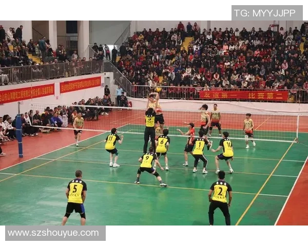 南京排球队的节奏与魅力探秘：一场激情四溢的排球盛宴